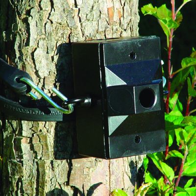 Tree Mount & Strap by Troy Lighting - Starlight Lighting USA and Canada